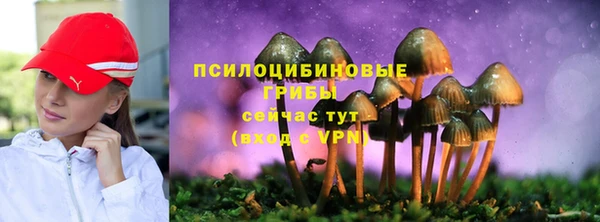 тгк Приозерск