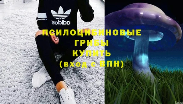 прущие крисы Протвино