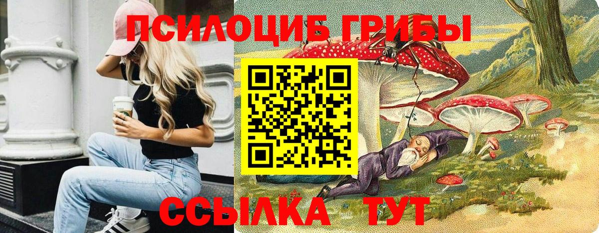 Соликамск  Галлюциногенные грибы мицелий  продажа наркотиков  Вход с VPN  Галлюциногенные грибы Psilocybine cubensis 